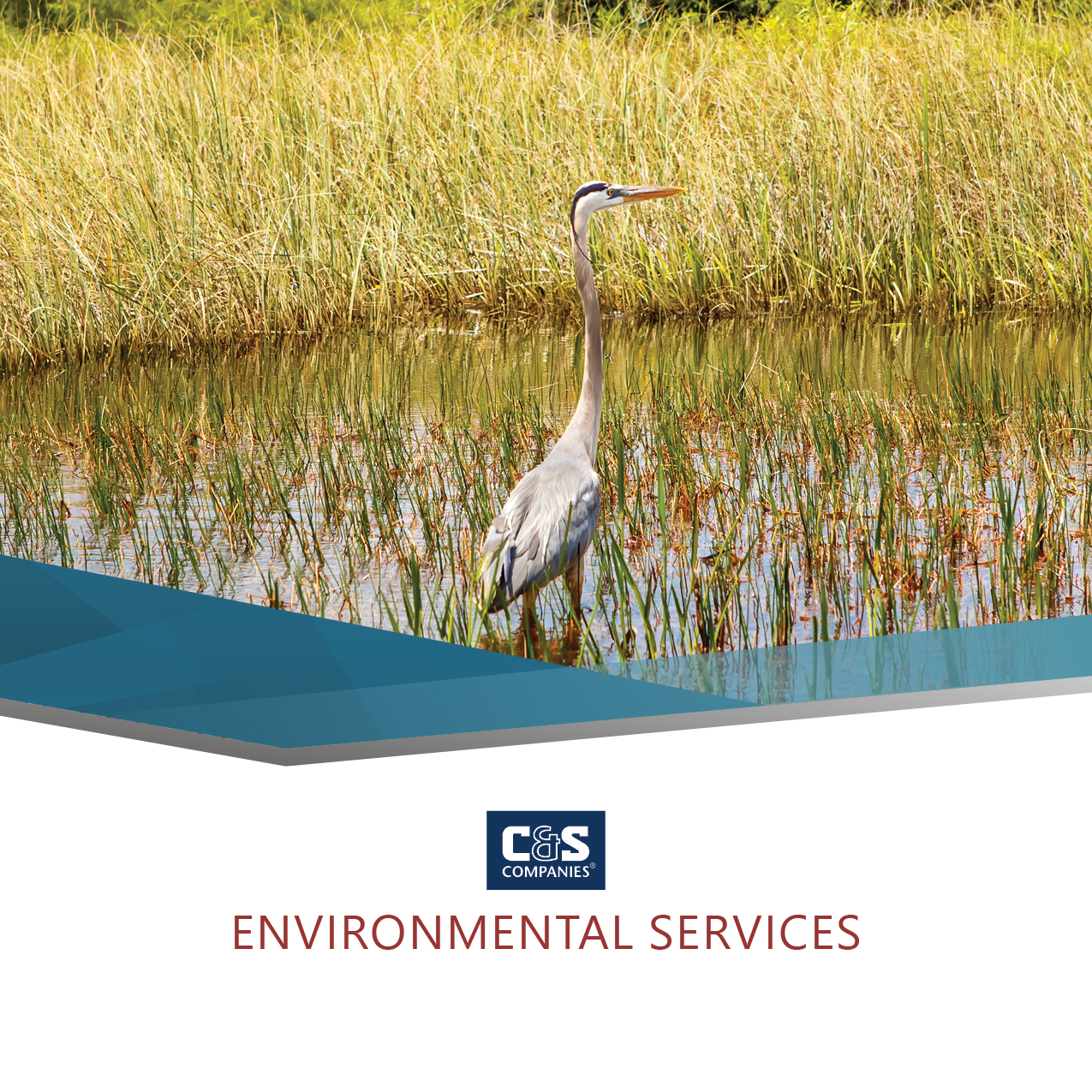 Environmental Services Brochure